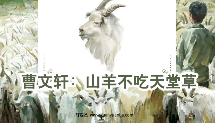 【故事】《曹文轩:山羊不吃天堂草》共39集有声经典儿童文学故事M4A音频格式 百度云盘下载