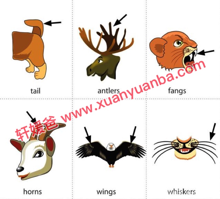 《79个主题200+张单词随身卡》非常全的英语启蒙学单词必备 百度云网盘下载