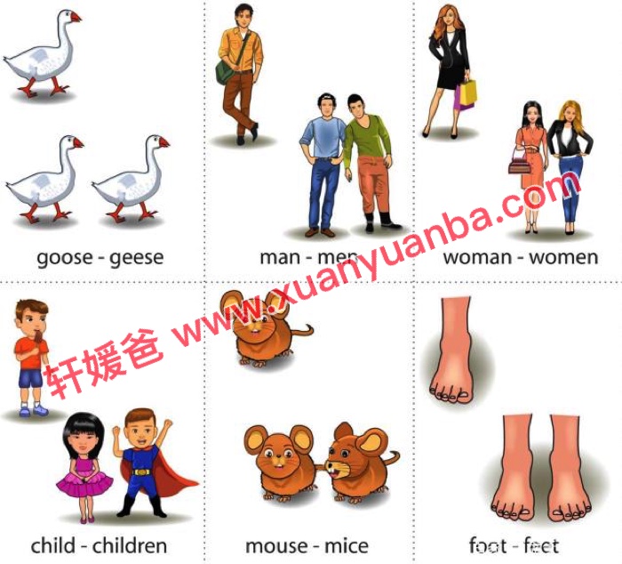 《79个主题200+张单词随身卡》非常全的英语启蒙学单词必备 百度云网盘下载