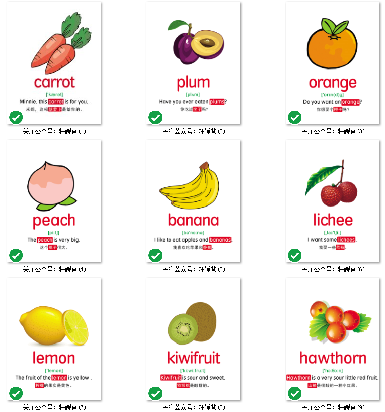 【英语】10大主题分类英语单词卡片 795张 JPG格式 百度云网盘下载