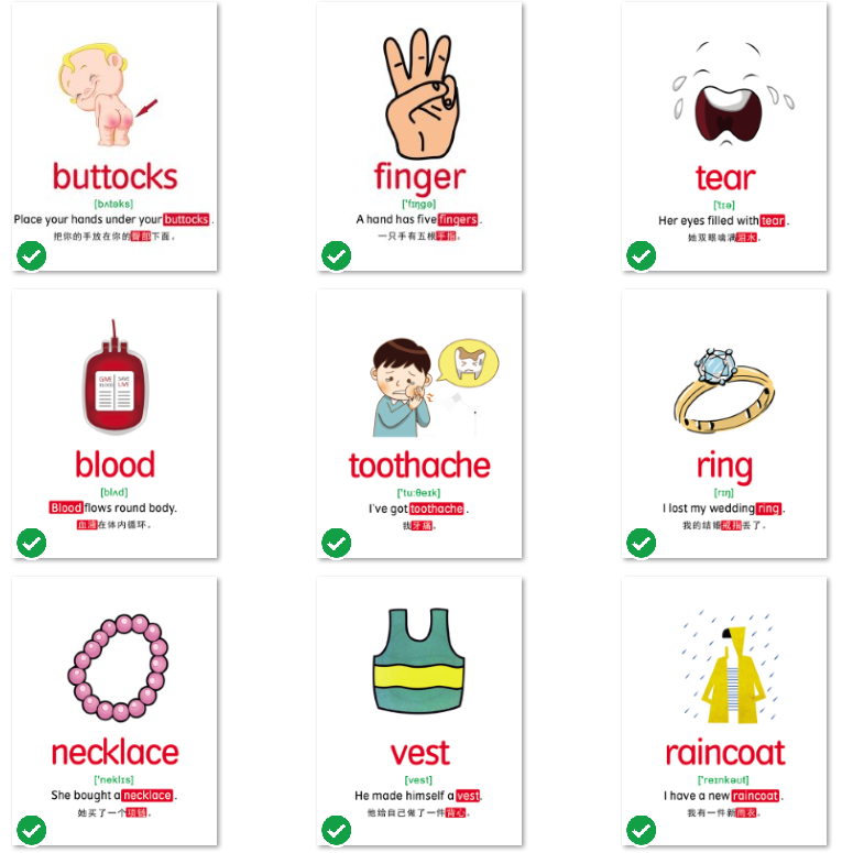 【英语】10大主题分类英语单词卡片 795张 JPG格式 百度云网盘下载