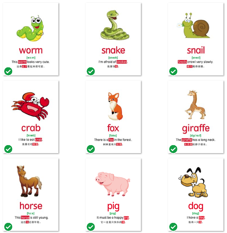 【英语】10大主题分类英语单词卡片 795张 JPG格式 百度云网盘下载