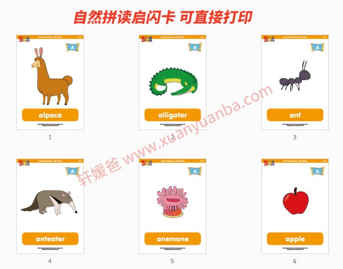 《Captain Seasalt And The ABC Pirates》自然拼读启蒙视频+闪卡 百度网盘下载