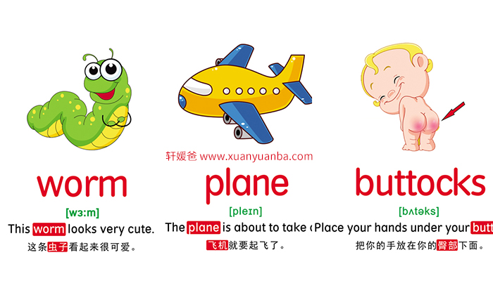 【英语】10大主题分类英语单词卡片 795张 JPG格式 百度云网盘下载