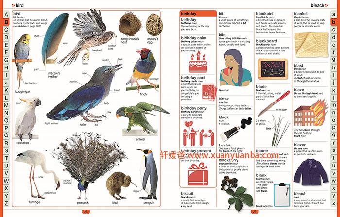 《Children's Illustrated Thesaurus DK》 DK儿童插图词典  高清PDF格式 百度云网盘下载