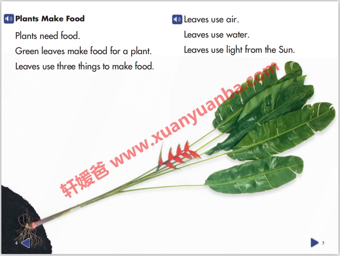 《斯考特科学分级读物GK~G6》美国小学教材7个级别 内嵌音频可点读PDF+MP3 百度云网盘下载