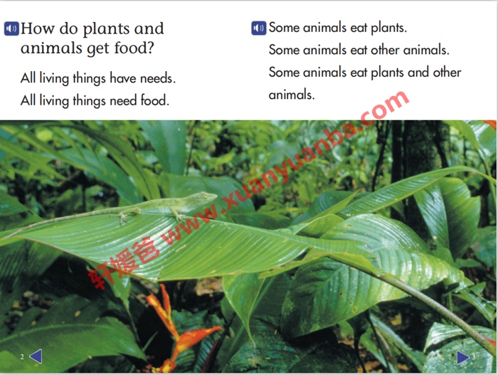 《斯考特科学分级读物GK~G6》美国小学教材7个级别 内嵌音频可点读PDF+MP3 百度云网盘下载