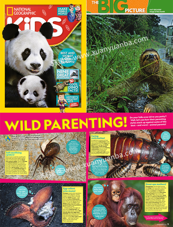 《National Geographic Kids》2020年1-9月美国国家地理儿童原版高清原生PDF 百度云网盘下载
