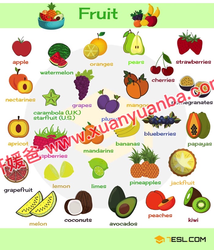 《7ESL网图解英语主题卡片419张》名词谚语语法高清JPG图片+单词视频 百度云网盘下载