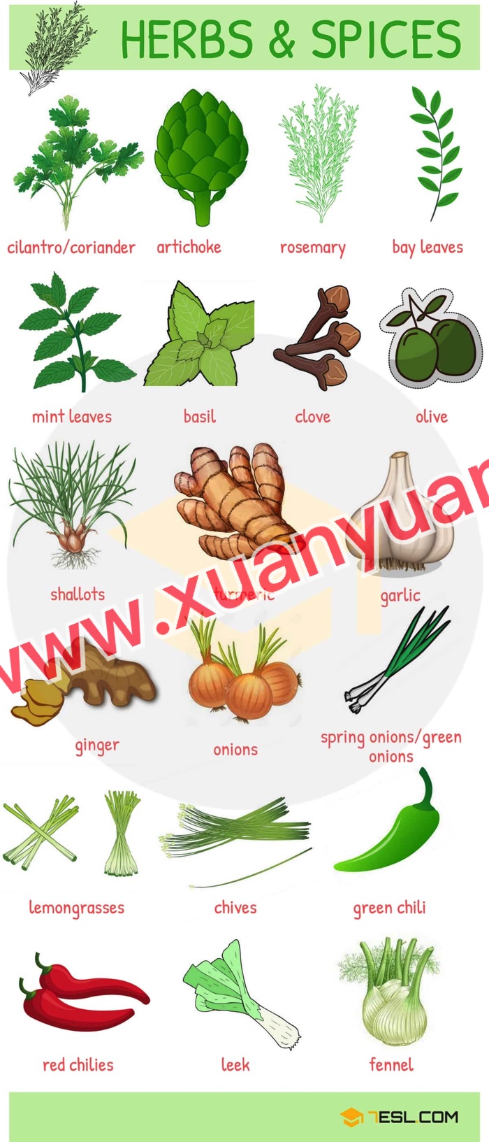 《7ESL网图解英语主题卡片419张》名词谚语语法高清JPG图片+单词视频 百度云网盘下载