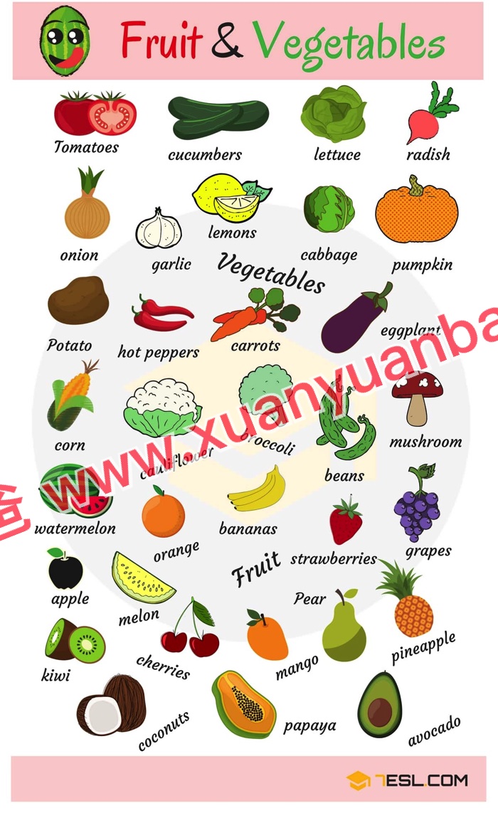 《7ESL网图解英语主题卡片419张》名词谚语语法高清JPG图片+单词视频 百度云网盘下载