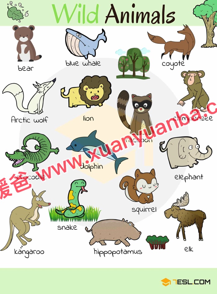 《7ESL网图解英语主题卡片419张》名词谚语语法高清JPG图片+单词视频 百度云网盘下载