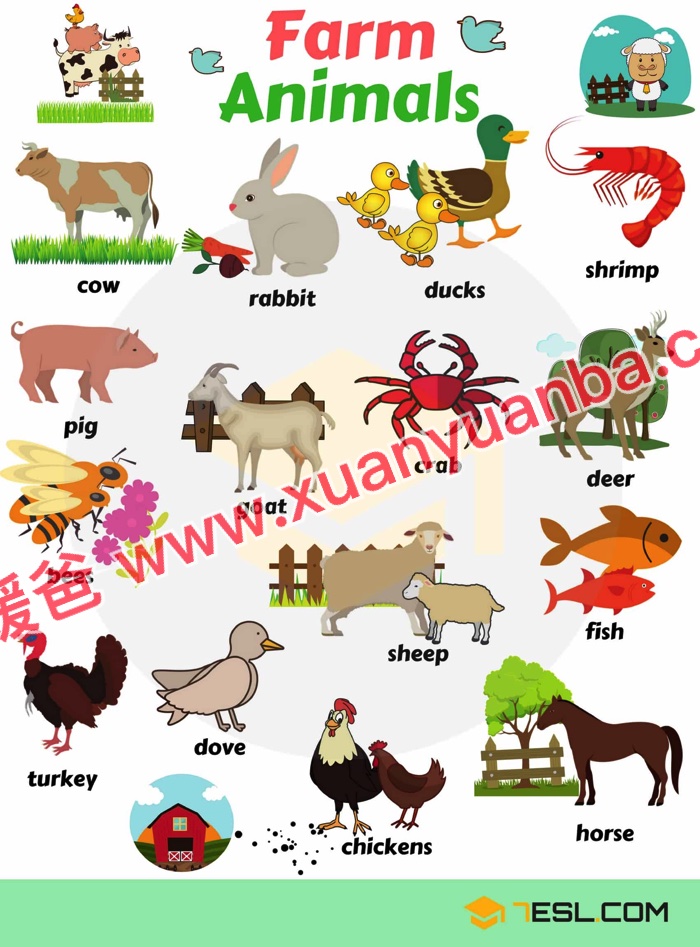 《7ESL网图解英语主题卡片419张》名词谚语语法高清JPG图片+单词视频 百度云网盘下载