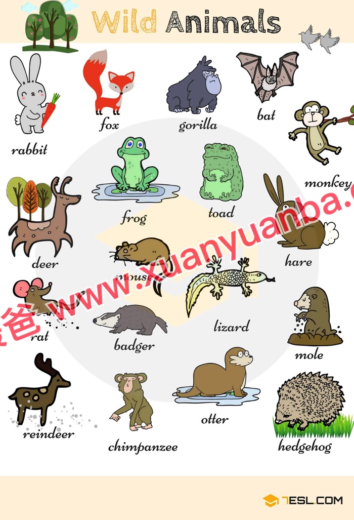 《7ESL网图解英语主题卡片419张》名词谚语语法高清JPG图片+单词视频 百度云网盘下载