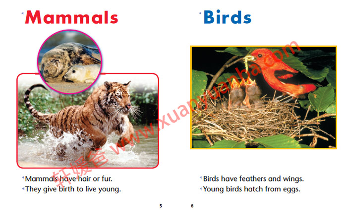《Harcourt Science Grade K-6》哈考特系列分级阅读科学绘本MP3+PDF 百度云网盘下载