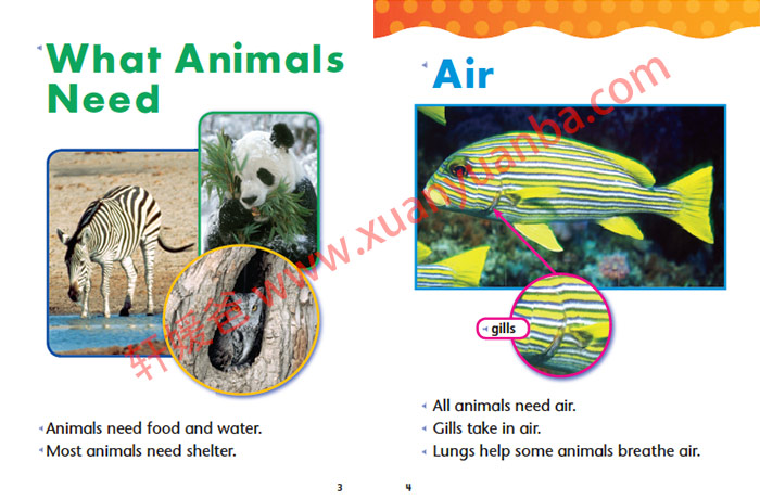 《Harcourt Science Grade K-6》哈考特系列分级阅读科学绘本MP3+PDF 百度云网盘下载