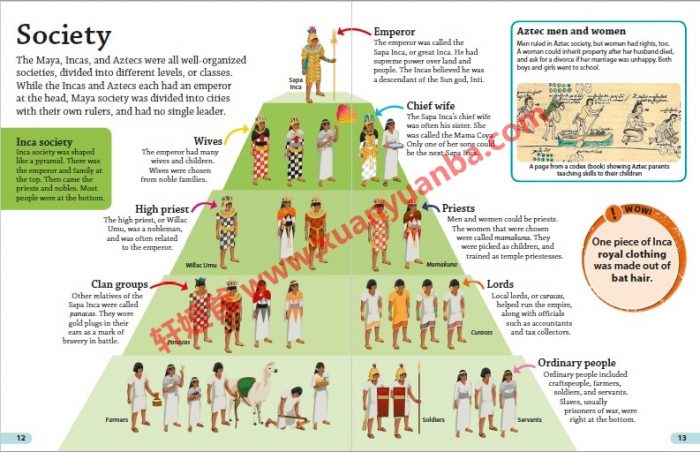 《DK Findout百科知识全系列31本》孩子秒变科普小达人 百度云网盘下载