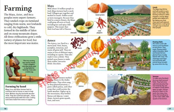 《DK Findout百科知识全系列31本》孩子秒变科普小达人 百度云网盘下载