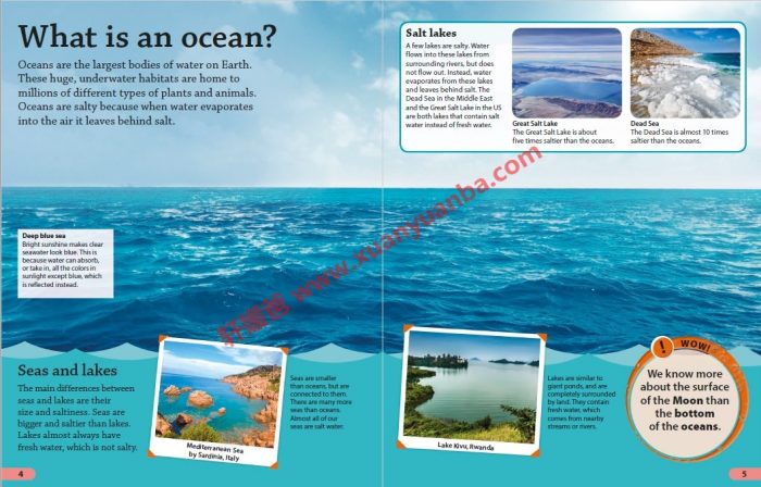 《DK Findout百科知识全系列31本》孩子秒变科普小达人 百度云网盘下载