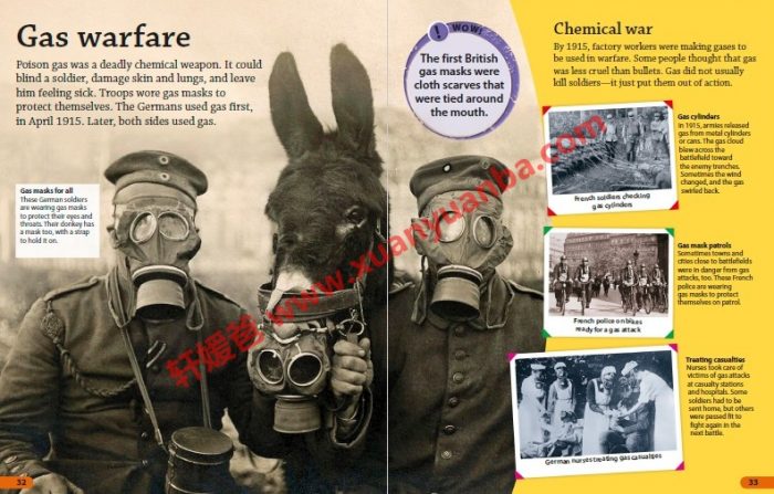 《DK Findout百科知识全系列31本》孩子秒变科普小达人 百度云网盘下载