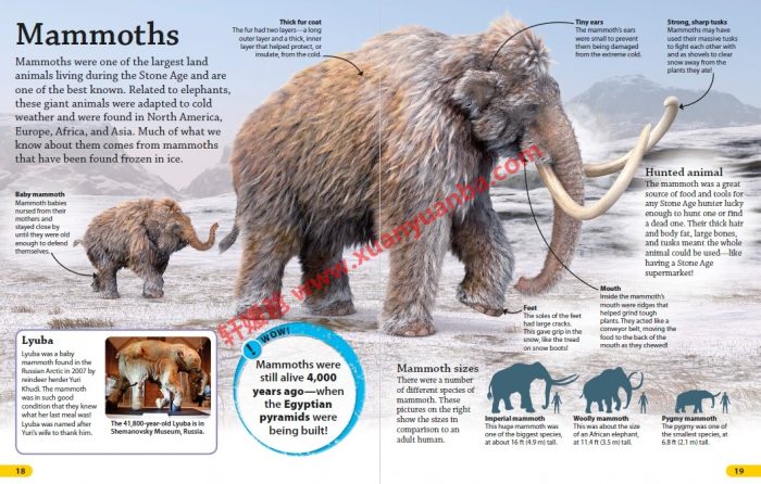《DK Findout百科知识全系列31本》孩子秒变科普小达人 百度云网盘下载