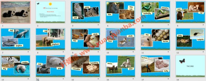 《80套超精美PPT动画课件》亲子英语启蒙老师教学必备 百度云网盘下载