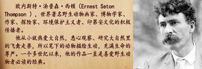 《西顿动物故事集》31集有声音频经典故事MP3 百度云网盘下载