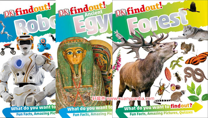 《DK Findout百科知识全系列31本》孩子秒变科普小达人 百度云网盘下载