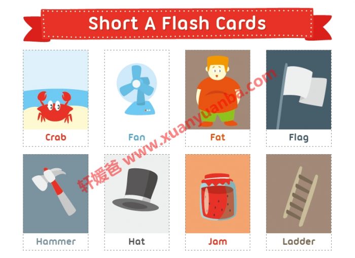 《43大主题英语彩色单词卡》帮孩子轻松掌握1600+词汇 百度云网盘下载