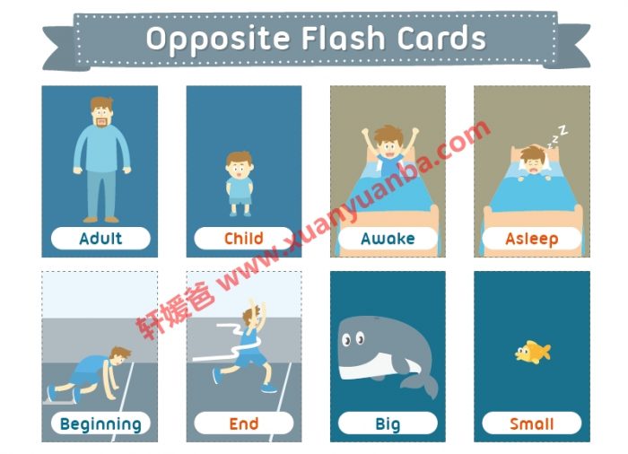 《43大主题英语彩色单词卡》帮孩子轻松掌握1600+词汇 百度云网盘下载