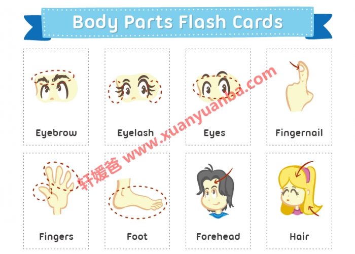 《43大主题英语彩色单词卡》帮孩子轻松掌握1600+词汇 百度云网盘下载