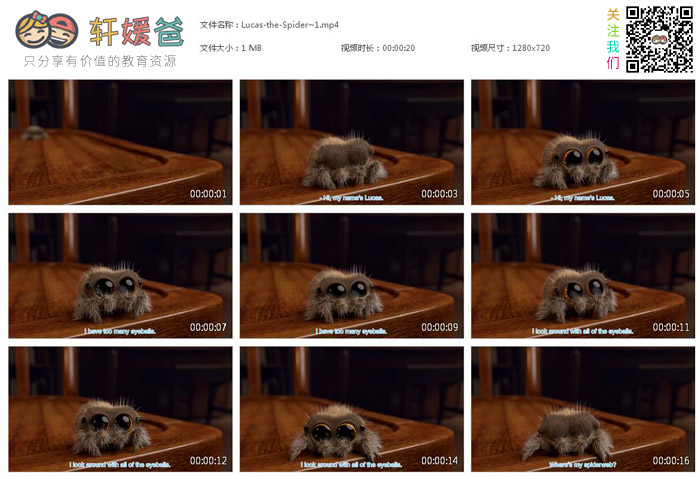 《小蜘蛛卢卡斯 Lucas the spider》16集含内嵌字幕 MP4视频格式 百度网盘下载