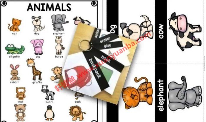 《20份美国小学单词银行资料集合》近1000页英语词汇PDF 百度云网盘下载