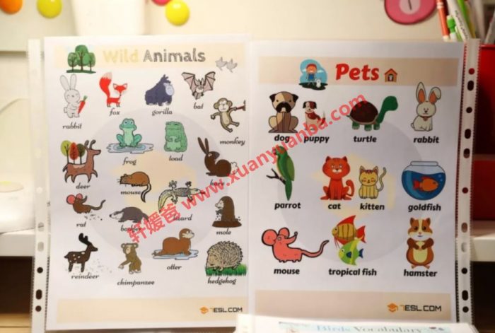 《20份美国小学单词银行资料集合》近1000页英语词汇PDF 百度云网盘下载