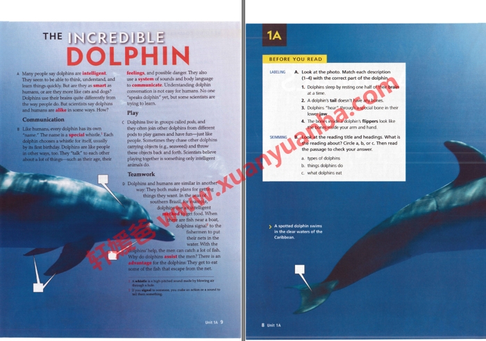 《Reading Explorer第三版最新》阅读理解 教师书+学生书+答案+视频+音频+词汇表 百度网盘下载