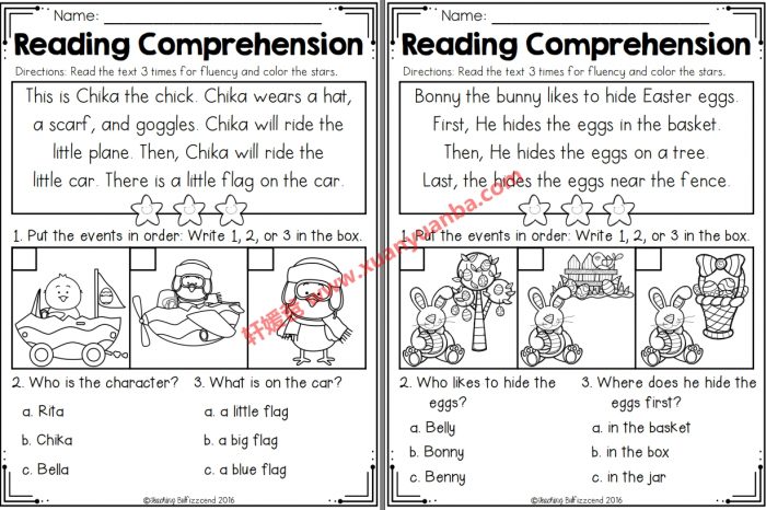 《Reading Comprehension 系列》英文阅读理解排序练习练习册10册初级阅读PDF 百度云网盘下载