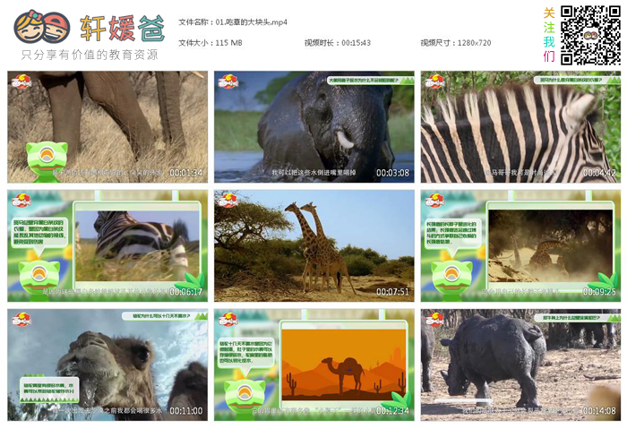 《奇趣生物大百科》掌握50个充满趣味的自然知识 MP4百度云网盘下载