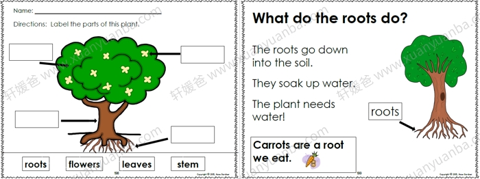 《Alphabet Sentences》TPT北美字母句子综合练习册PDF 百度云网盘下载