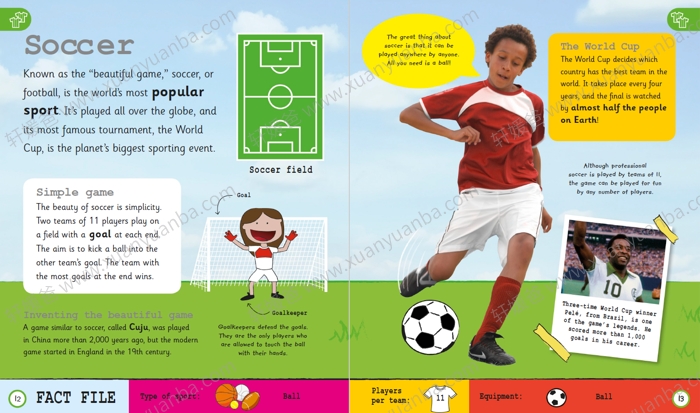 《DK体育百科全书》丰富的插画 学习各种体育知识 224页 PDF百度云网盘下载