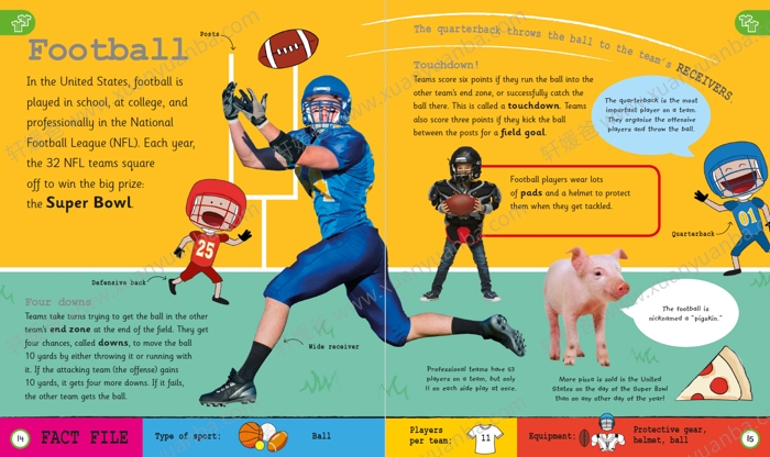 《DK体育百科全书》丰富的插画 学习各种体育知识 224页 PDF百度云网盘下载