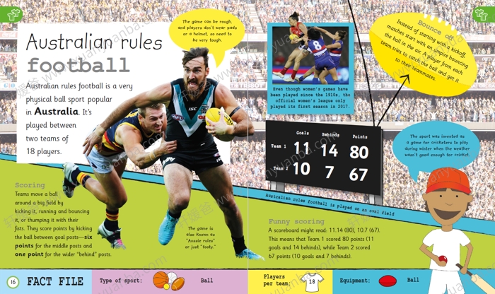 《DK体育百科全书》丰富的插画 学习各种体育知识 224页 PDF百度云网盘下载