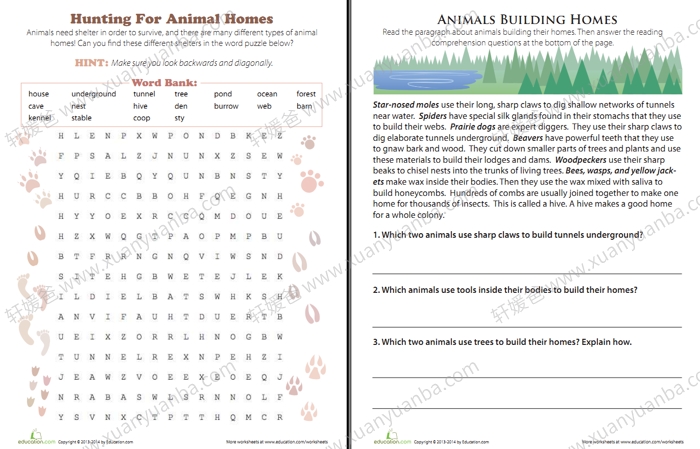 《26个字母动物主题作业纸4套》PDF格式 百度云网盘下载