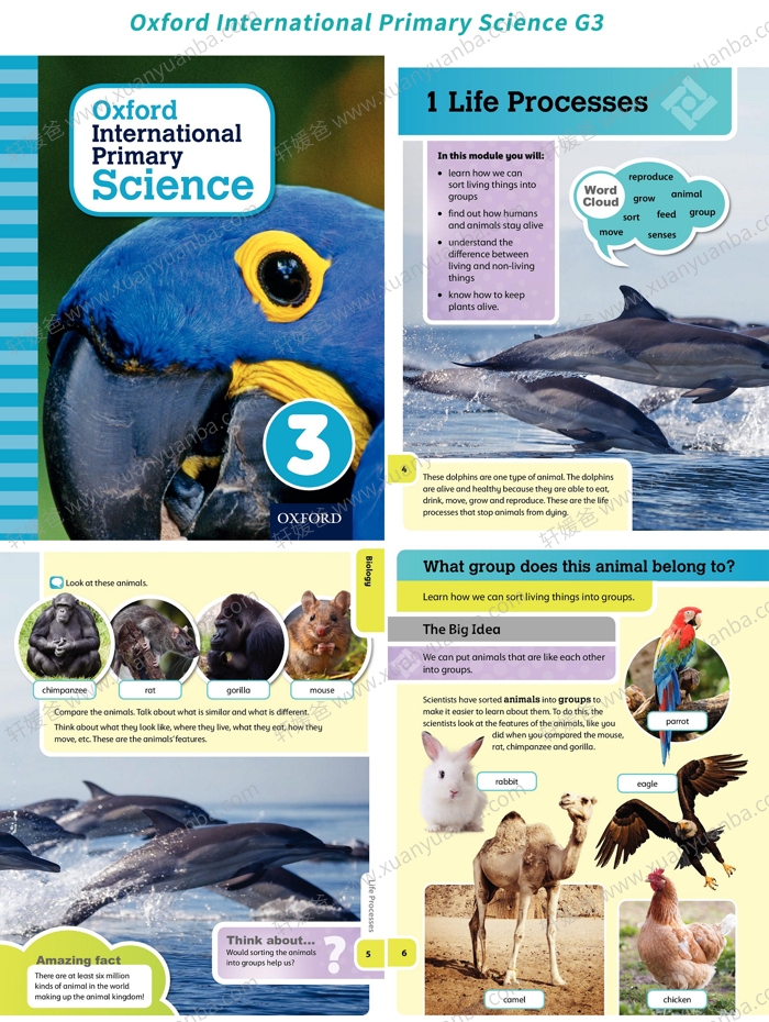 《International Primary Science G1-G6》牛津国际小学科学高清教材 PDF 百度云网盘下载