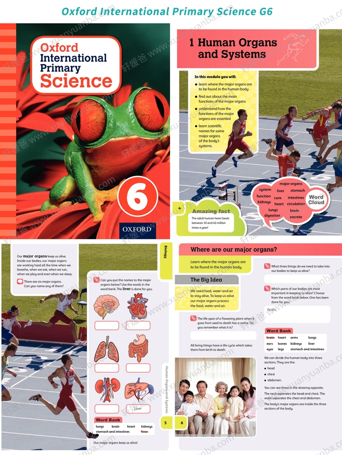 《International Primary Science G1-G6》牛津国际小学科学高清教材 PDF 百度云网盘下载