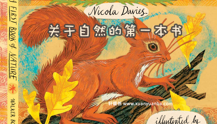 《关于自然的第一本书》自然科普百科绘本保护环境儿童英语启蒙图画 百度云网盘下载