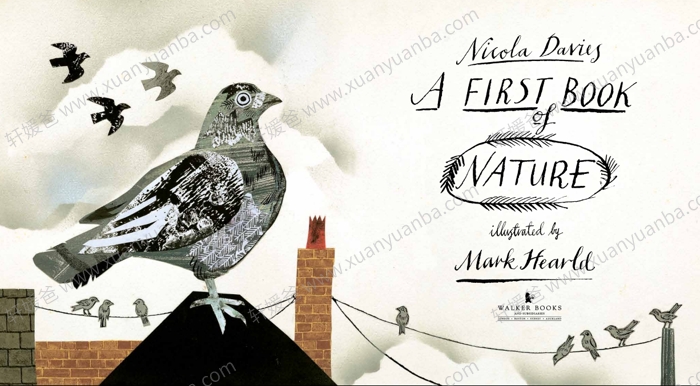 《关于自然的第一本书》自然科普百科绘本保护环境儿童英语启蒙图画 百度云网盘下载