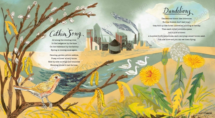 《关于自然的第一本书》自然科普百科绘本保护环境儿童英语启蒙图画 百度云网盘下载