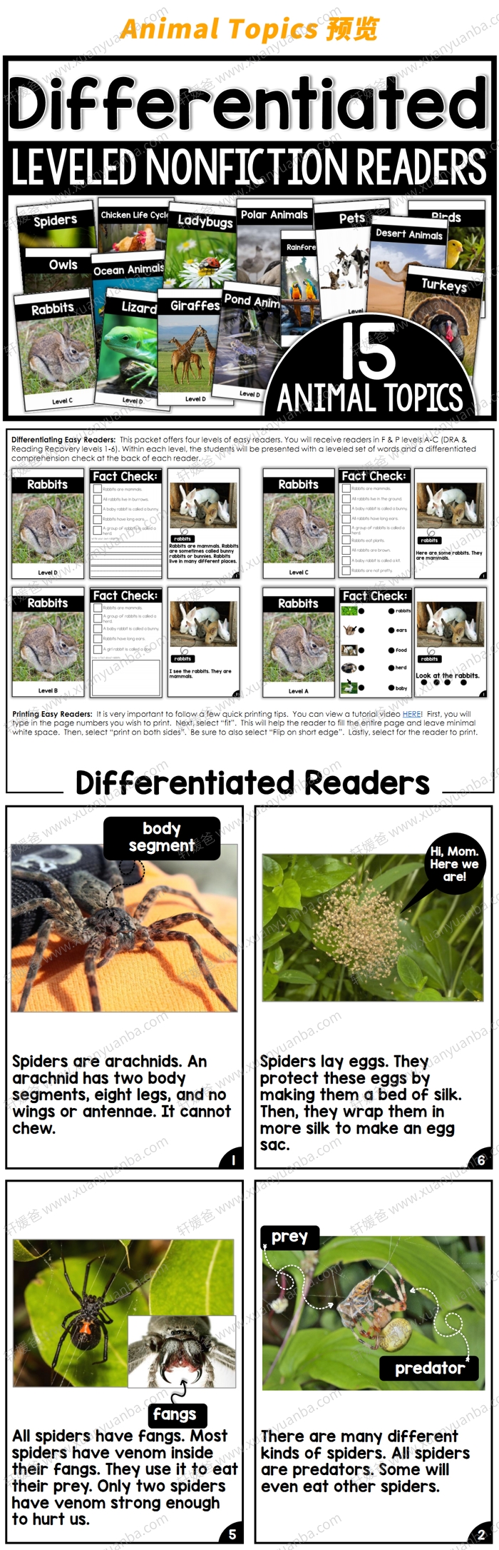 《Differentiated Leveled Nonfiction Readers》非小说类阅读理解练习册三册 PDF百度网盘下载