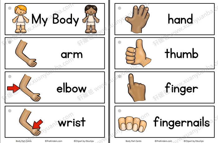 《多主题单词卡集合》30套英语闪卡 PDF格式 百度云网盘下载