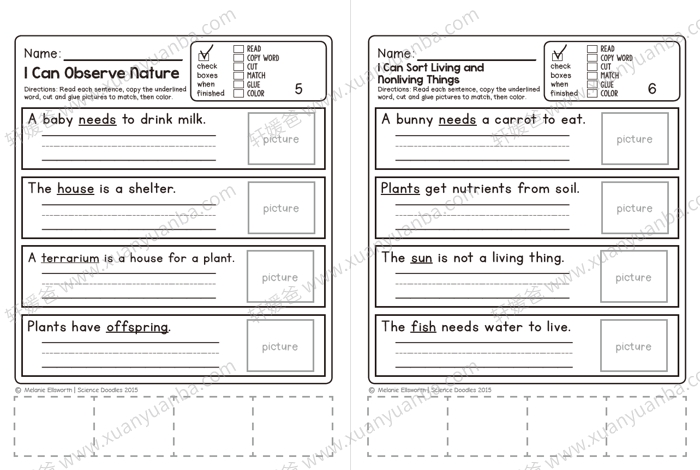 《Science Doodles First Grade 200+页》TPT出品35个主题 幼儿科学启蒙 PDF 百度云网盘下载